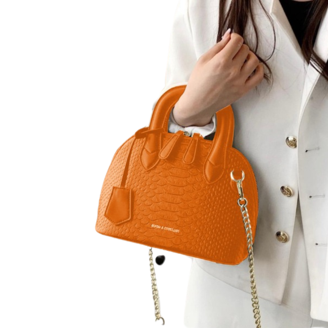 Ladies handbag